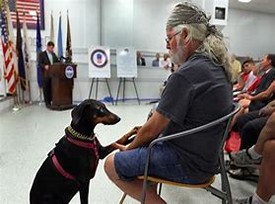 Man and his Dog